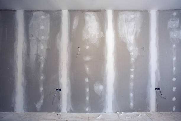 Best Water-Damaged Drywall Repair  in Napervle, IL